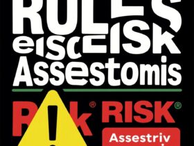 rules of risk assessment economics​
